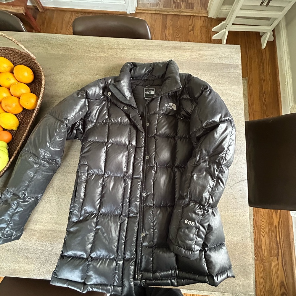 The North Face Black Quilted Down Puffer Coat for Cold Weather